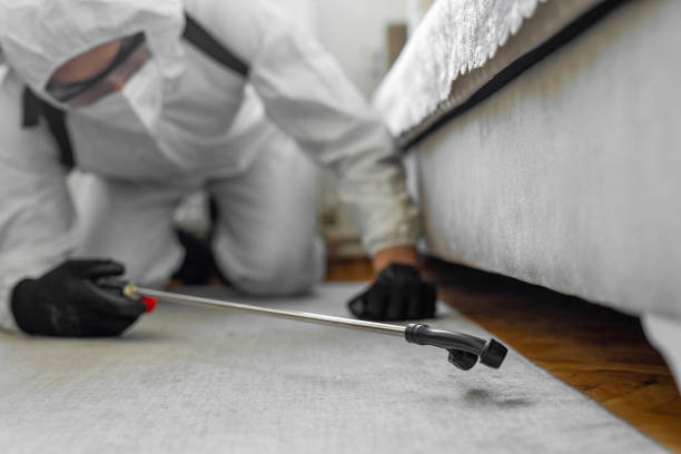 Professional Cockroach Control technician working in Valparaiso, IN